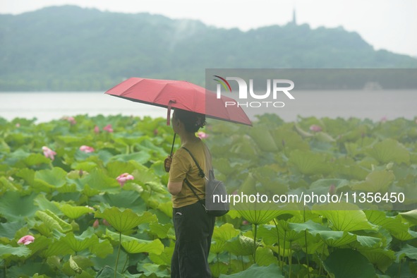 Tourists are braving the rain on the West Lake in Hangzhou, China, on June 24, 2024. On the same day, the National Meteorological Center is...