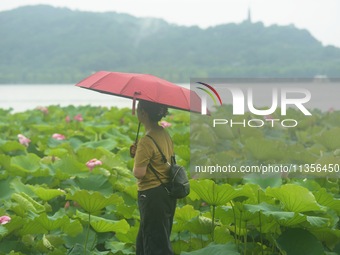 Tourists are braving the rain on the West Lake in Hangzhou, China, on June 24, 2024. On the same day, the National Meteorological Center is...