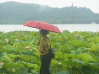 Tourists are braving the rain on the West Lake in Hangzhou, China, on June 24, 2024. On the same day, the National Meteorological Center is...