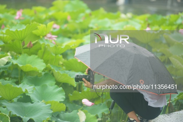 Tourists are braving the rain on the West Lake in Hangzhou, China, on June 24, 2024. On the same day, the National Meteorological Center is...