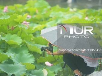 Tourists are braving the rain on the West Lake in Hangzhou, China, on June 24, 2024. On the same day, the National Meteorological Center is...