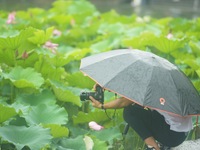 Tourists are braving the rain on the West Lake in Hangzhou, China, on June 24, 2024. On the same day, the National Meteorological Center is...