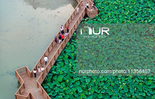 Tourists are enjoying blooming lotus flowers in a lotus pond at Bochishan Park in Huai'an city, East China's Jiangsu province, on June 23, 2...