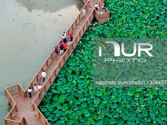 Tourists are enjoying blooming lotus flowers in a lotus pond at Bochishan Park in Huai'an city, East China's Jiangsu province, on June 23, 2...