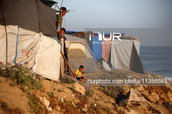 Displaced Palestinian children are looking outside their tent at the beach in Deir el-Balah, central Gaza Strip, on June 24, 2024, amid the...