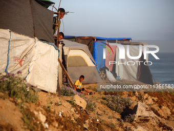 Displaced Palestinian children are looking outside their tent at the beach in Deir el-Balah, central Gaza Strip, on June 24, 2024, amid the...