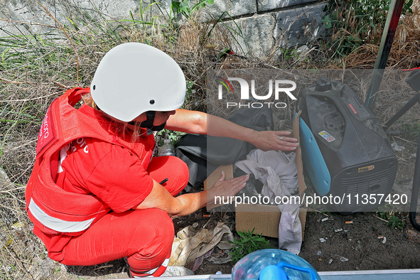 A paramedic is checking a dog which was affected by a Russian missile attack on civilian infrastructure in Odesa, Ukraine, on June 24, 2024....