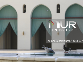 A view of Al-Hakim Mosque is among the important structures in Cairo, Egypt, on June 24, 2024. Egypt, which is the most populated country in...