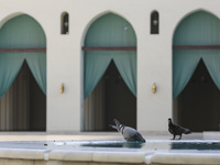 A view of Al-Hakim Mosque is among the important structures in Cairo, Egypt, on June 24, 2024. Egypt, which is the most populated country in...