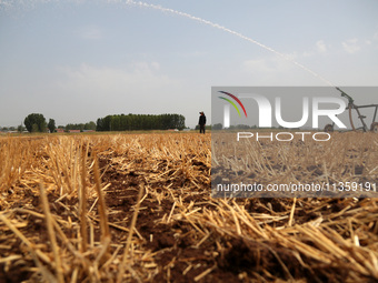 Farmers are watering corn seedlings by sprinkling machine in Shiegangbu village, Zaozhuang city, East China's Shandong province, in Zaozhuan...