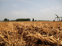 Farmers are watering corn seedlings by sprinkling machine in Shiegangbu village, Zaozhuang city, East China's Shandong province, in Zaozhuan...