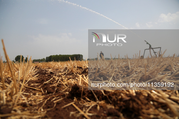 Farmers are watering corn seedlings by sprinkling machine in Shiegangbu village, Zaozhuang city, East China's Shandong province, in Zaozhuan...