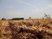 Farmers are watering corn seedlings by sprinkling machine in Shiegangbu village, Zaozhuang city, East China's Shandong province, in Zaozhuan...