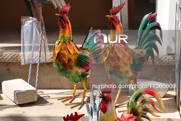 Metal roosters are being displayed outside a shop in Niagara-on-the-Lake, Ontario, Canada, on June 12, 2024. 