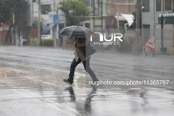 A woman is covering herself with an umbrella from the heavy rains on the Calzada Ermita south of the city, due to Tropical Wave Number 5, wh...