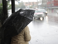 A woman is covering herself with an umbrella from the heavy rains on the Calzada Ermita south of the city, due to Tropical Wave Number 5, wh...