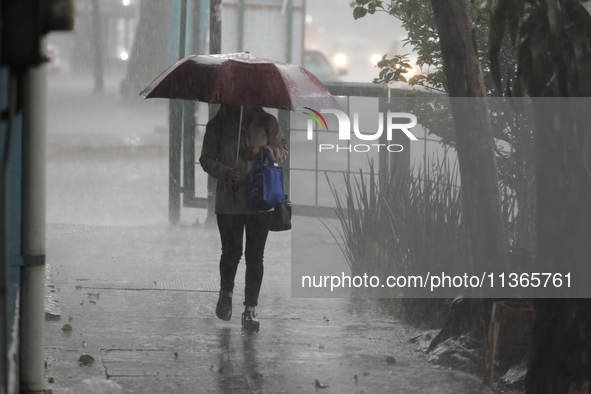 A woman is covering herself with an umbrella from the heavy rains on the Calzada Ermita south of the city, due to Tropical Wave Number 5, wh...