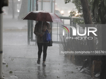 A woman is covering herself with an umbrella from the heavy rains on the Calzada Ermita south of the city, due to Tropical Wave Number 5, wh...