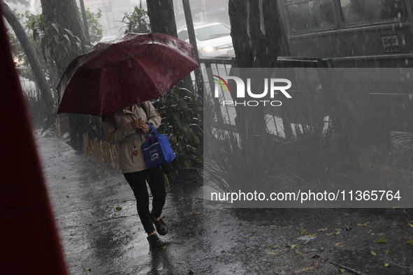 A woman is covering herself with an umbrella from the heavy rains on the Calzada Ermita south of the city, due to Tropical Wave Number 5, wh...