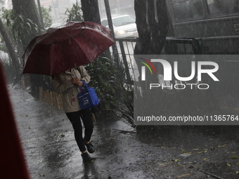 A woman is covering herself with an umbrella from the heavy rains on the Calzada Ermita south of the city, due to Tropical Wave Number 5, wh...