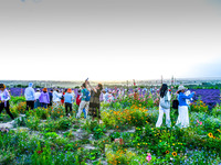 Tourists are playing among lavender flowers in full bloom in Yili, China, on June 26, 2024. (