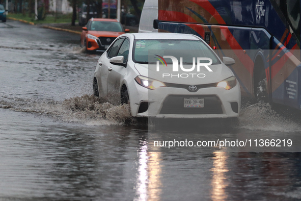 Drivers are trying to cross the Vicente Villada Avenue, which is flooded due to the heavy rains that are hitting Mexico. Vicente Villada Ave...