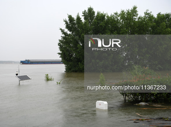 The Jiujiang section of the Yangtze River is being seen at high water level in Jiujiang, China, on June 28, 2024. The water level at Jiujian...