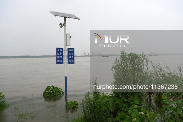 The Jiujiang section of the Yangtze River is being seen at high water level in Jiujiang, China, on June 28, 2024. The water level at Jiujian...