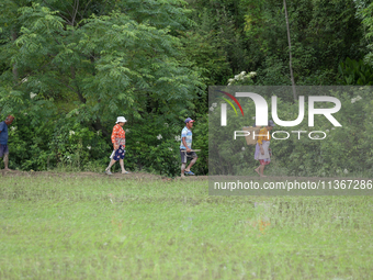 Nepali farmers are walking on the edge of a paddy field in Lalitpur, Nepal, on June 28, 2024. Locally called ''Ropain,'' the transplant of p...