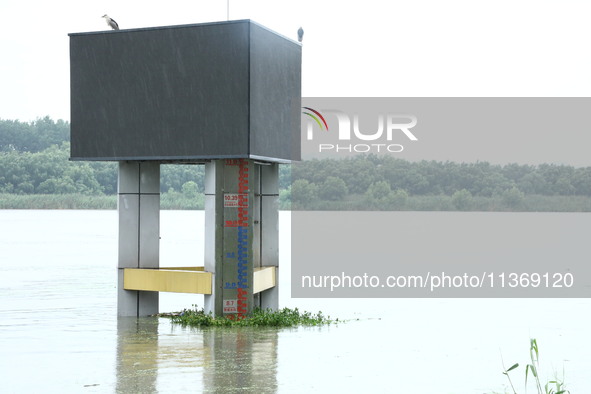 The Nanjing section of the Yangtze River is exceeding the warning water level in Nanjing, China, on June 29, 2024. 