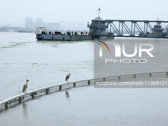 The Nanjing section of the Yangtze River is exceeding the warning water level in Nanjing, China, on June 29, 2024. (