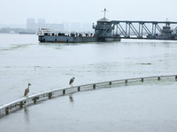 The Nanjing section of the Yangtze River is exceeding the warning water level in Nanjing, China, on June 29, 2024. (