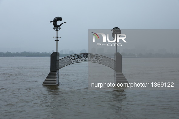 The Nanjing section of the Yangtze River is exceeding the warning water level in Nanjing, China, on June 29, 2024. 