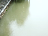 The Nanjing section of the Yangtze River is exceeding the warning water level in Nanjing, China, on June 29, 2024. (