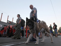 A man and a dog are participating in a search and rescue effort at an apartment block hit by a Russian missile in Dnipro, Ukraine, on June 2...