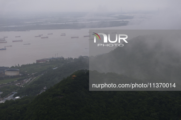 Ships are sailing on the Nanjing section of the Yangtze River in Nanjing, China, on June 29, 2024. 