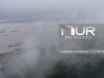 Ships are sailing on the Nanjing section of the Yangtze River in Nanjing, China, on June 29, 2024. (