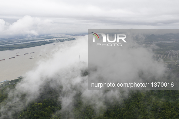 Ships are sailing on the Nanjing section of the Yangtze River in Nanjing, China, on June 29, 2024. 