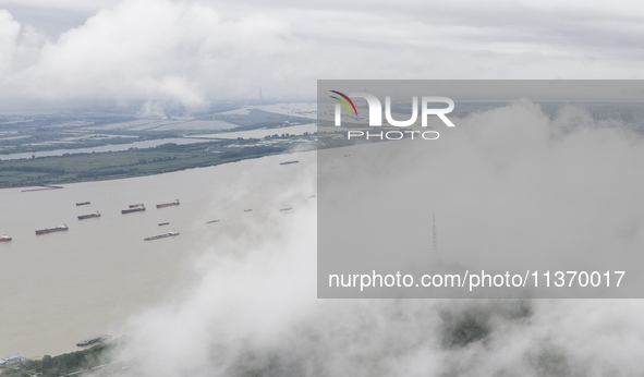 Ships are sailing on the Nanjing section of the Yangtze River in Nanjing, China, on June 29, 2024. 