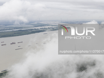 Ships are sailing on the Nanjing section of the Yangtze River in Nanjing, China, on June 29, 2024. (