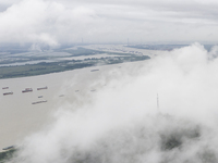 Ships are sailing on the Nanjing section of the Yangtze River in Nanjing, China, on June 29, 2024. (