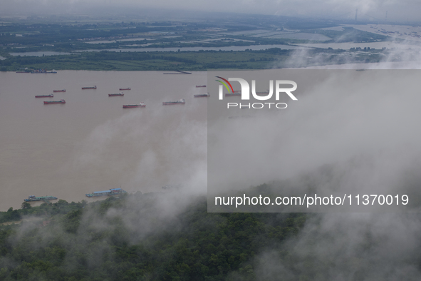 Ships are sailing on the Nanjing section of the Yangtze River in Nanjing, China, on June 29, 2024. 