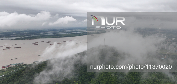 Ships are sailing on the Nanjing section of the Yangtze River in Nanjing, China, on June 29, 2024. 