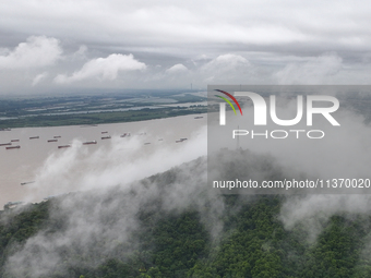 Ships are sailing on the Nanjing section of the Yangtze River in Nanjing, China, on June 29, 2024. (