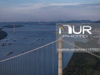 Ships are sailing on the Nanjing section of the Yangtze River in Nanjing, China, on June 29, 2024. (