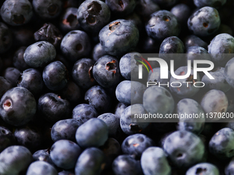 Blueberries are seen in this illustration photo taken in Poland on June 29, 2024. (