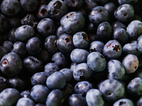 Blueberries are seen in this illustration photo taken in Poland on June 29, 2024. (