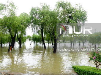 The Hankou Riverbank Park of the Yangtze River is flooding in Wuhan, China, on June 29, 2024. Heavy rain is continuing in Wuhan. (