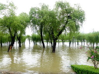 The Hankou Riverbank Park of the Yangtze River is flooding in Wuhan, China, on June 29, 2024. Heavy rain is continuing in Wuhan. (