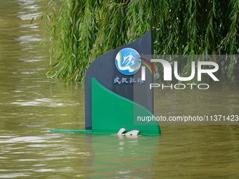 The Hankou Riverbank Park of the Yangtze River is flooding in Wuhan, China, on June 29, 2024. Heavy rain is continuing in Wuhan. (